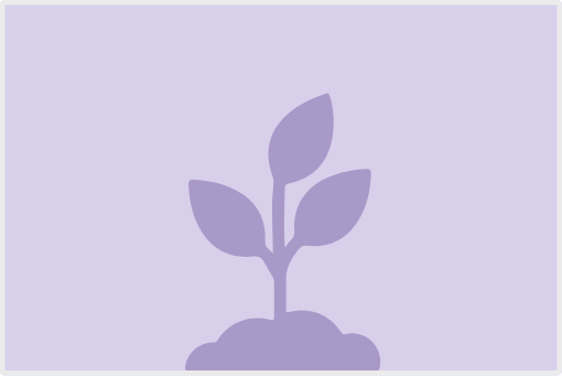 多肉植物の寄せ植え